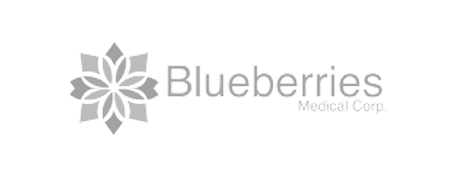 Blueberries